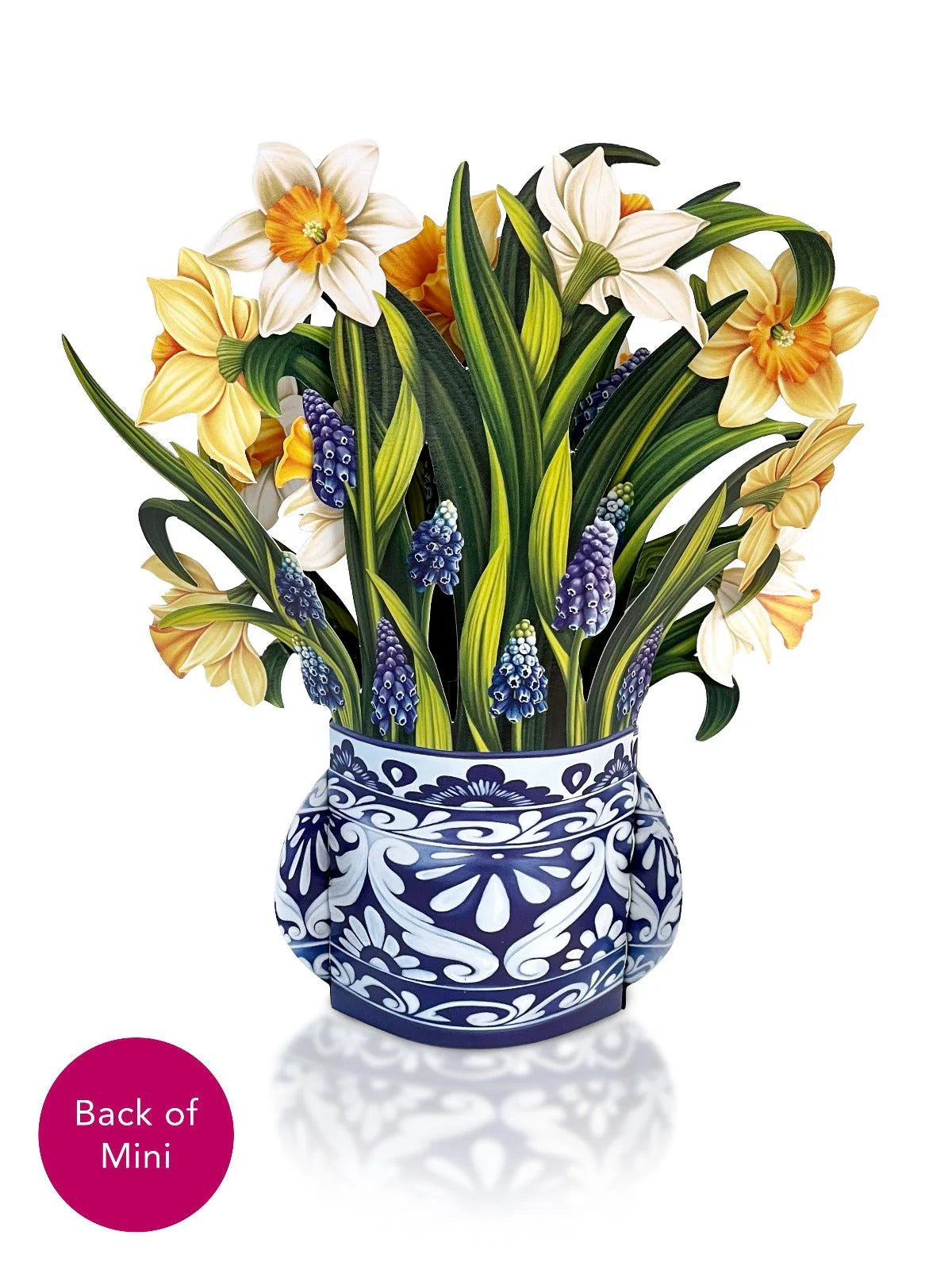Mini English Daffodil Pop-Up Card