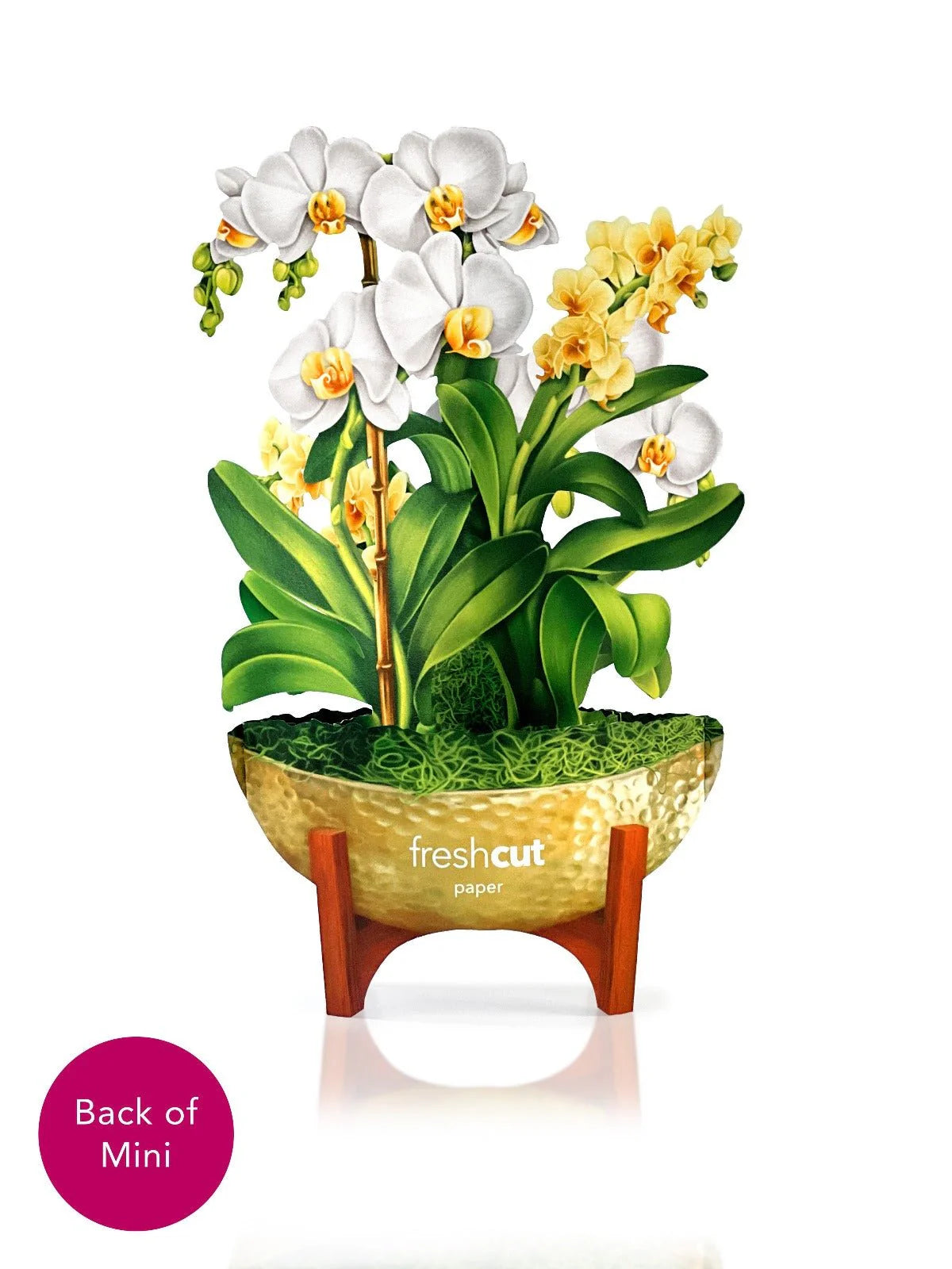 Mini Serenity Orchid Pop-Up Card