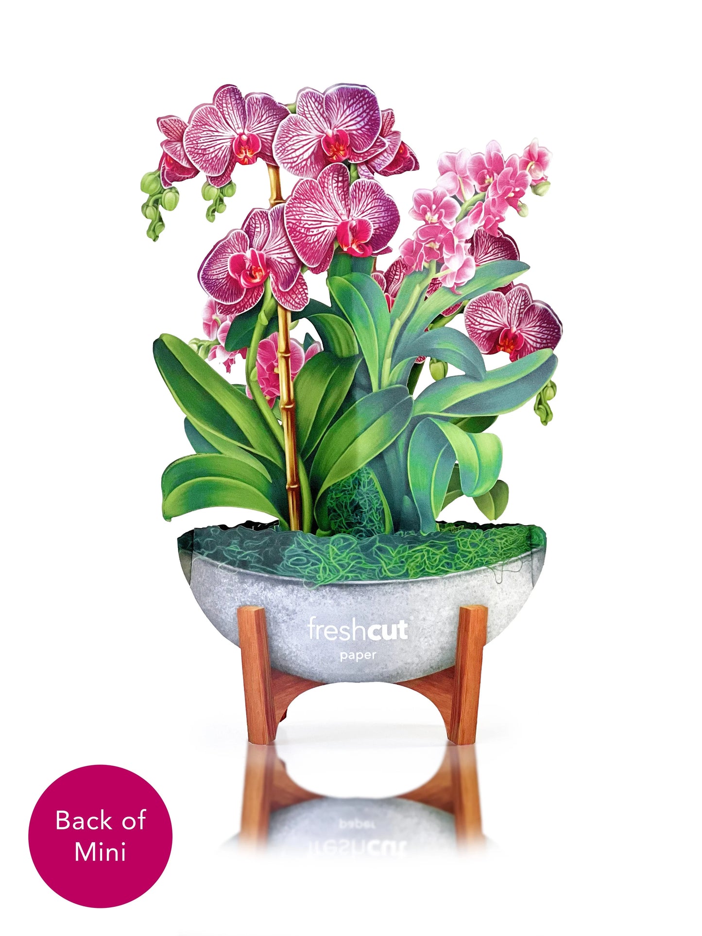 Mini Orchid Oasis Pop-Up Card